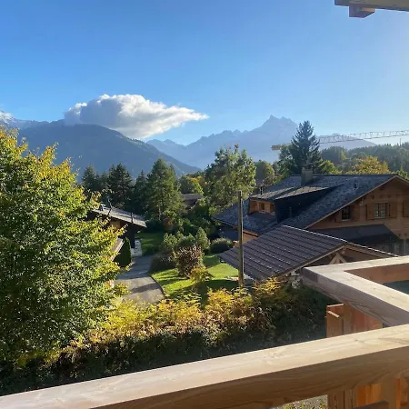 2 Bedroom Close To Lifts And Amenities Gryon