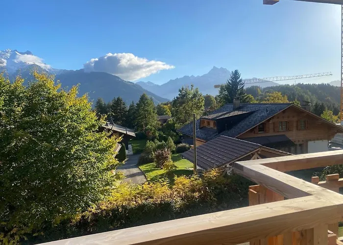 2 Bedroom Close To Lifts And Amenities Gryon